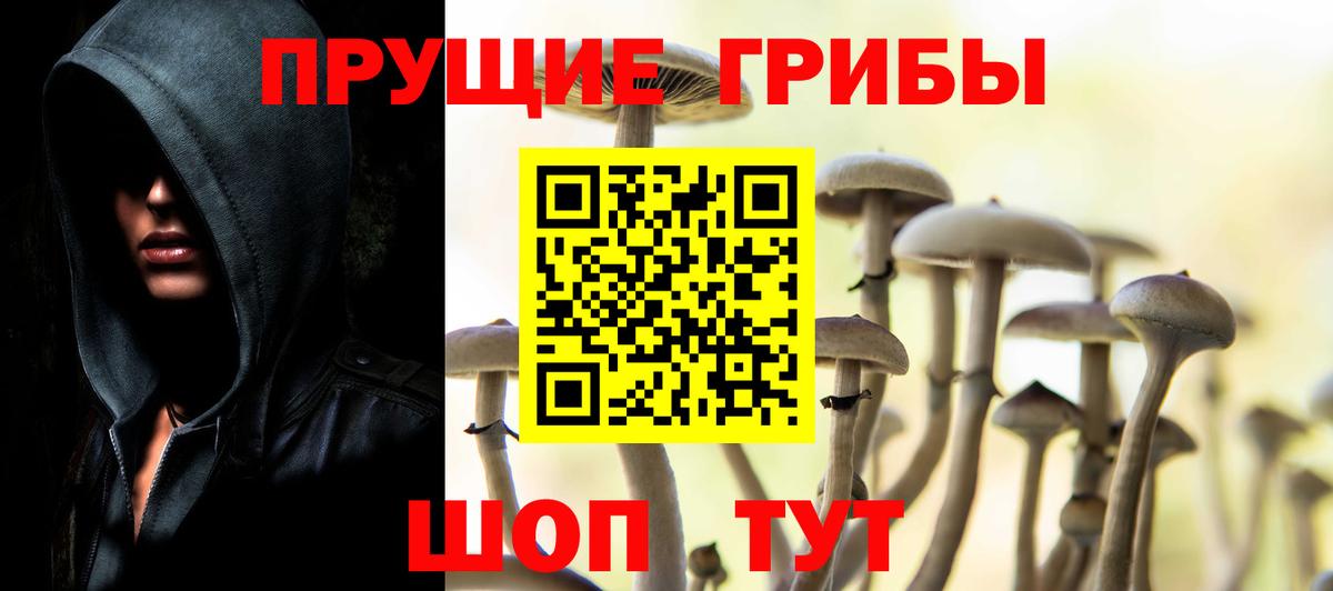 Псилоцибиновые грибы MAGIC MUSHROOMS  Вход с VPN  Балашиха 
